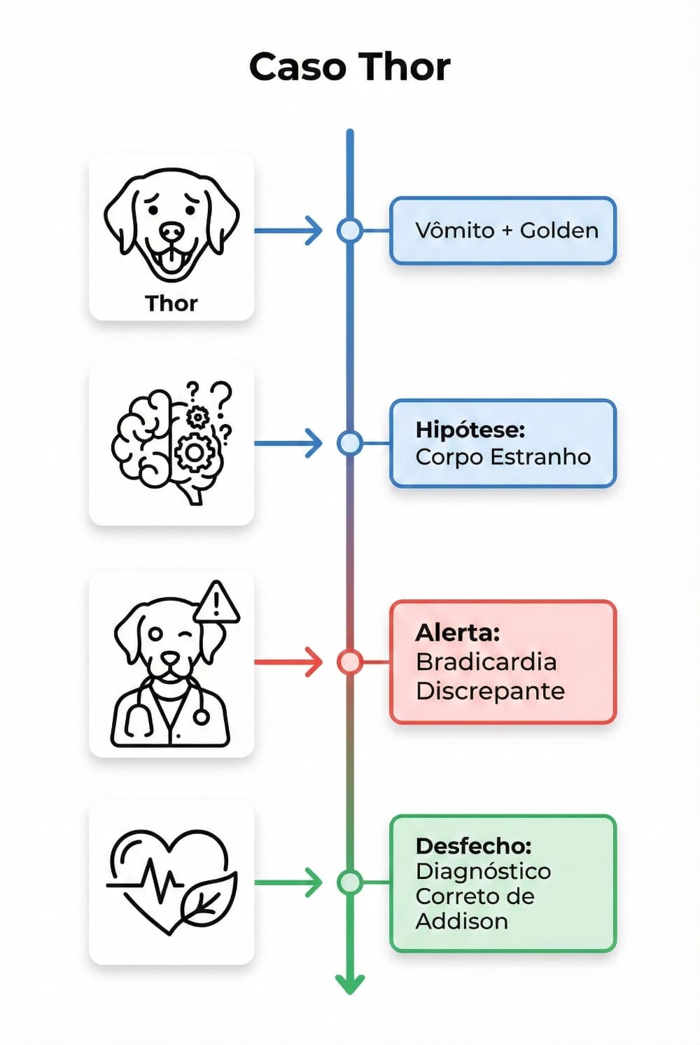 Infográfico do Caso Thor: Sintomas, Hipótese, Alerta e Desfecho